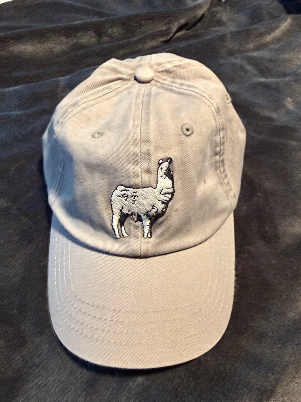 Haykuykuy Beige Baseball Cap with White & Black Llama Embroidery